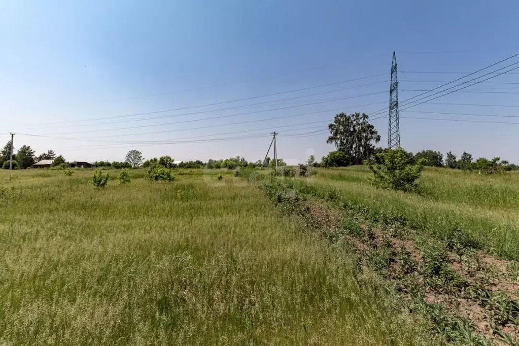 Участок в Алтайский край, Первомайский район, с. Санниково, Овощевод ... - Фото 1