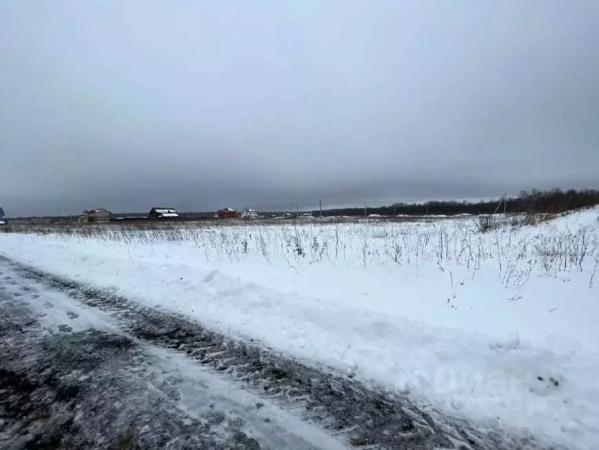 Участок в Московская область, Раменский городской округ, д. Апариха  ... - Фото 0