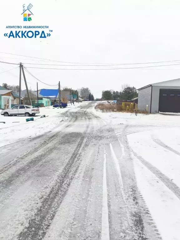 Дом в Алтайский край, Первомайский район, с. Баюновские ключи ул. ... - Фото 2