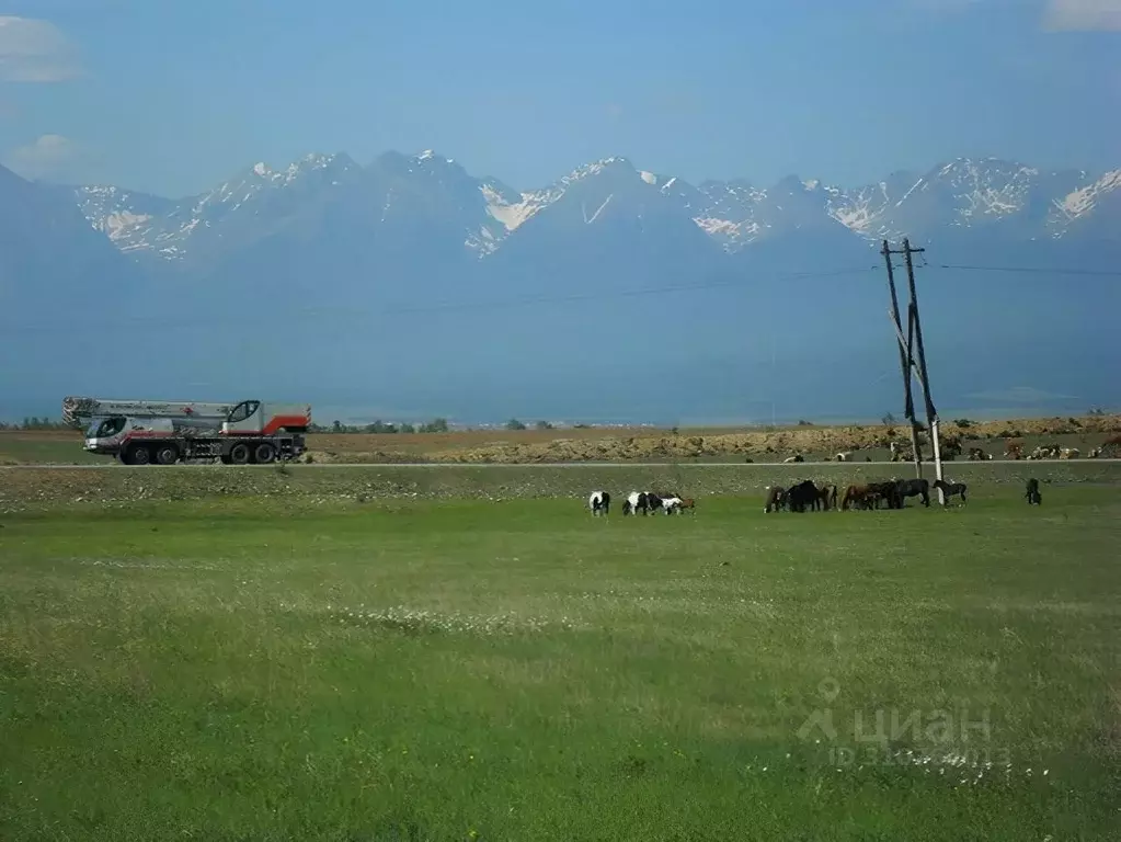 Участок в Бурятия, Тункинский район, с. Жемчуг  (8.0 сот.) - Фото 0