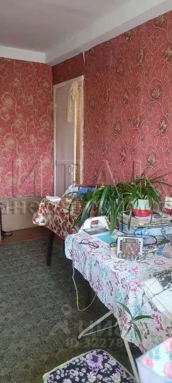 Комната Ленинградская область, Приозерский район, Плодовское с/пос, ... - Фото 1