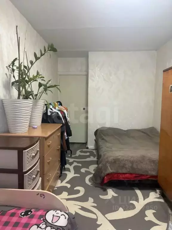 2-к кв. Алтай, Майминский район, с. Майма Подгорная ул. (48.5 м) - Фото 2