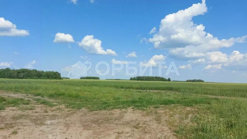 Участок в Тюменская область, Тюменский район, с. Горьковка  (8.15 ... - Фото 2