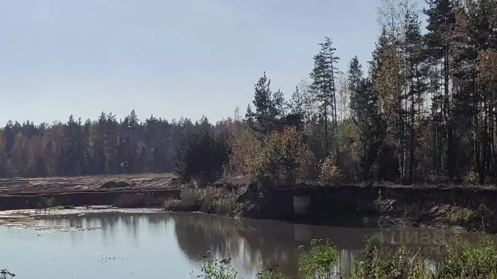 Участок в Московская область, Шатура муниципальный округ, с. Власово ... - Фото 2