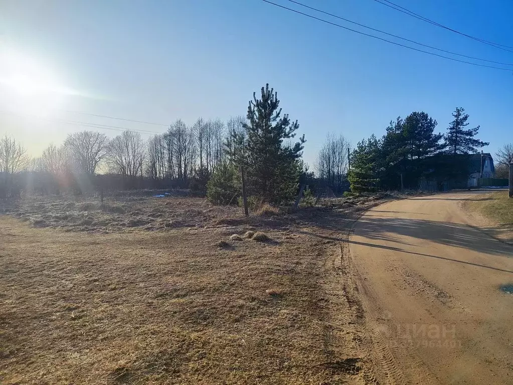 Участок в Новгородская область, Новгородский район, Бронницкое с/пос, ... - Фото 1