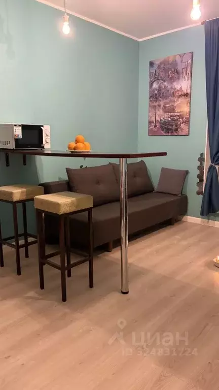 Студия Санкт-Петербург ул. Русановская, 19к3 (27.3 м) - Фото 2