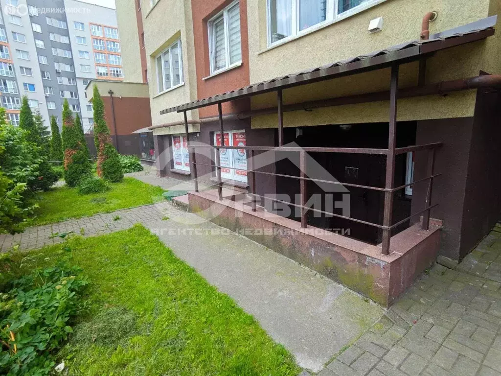 Помещение свободного назначения (50.1 м) - Фото 0