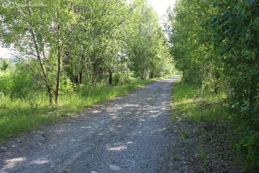 Участок в Горноуральский городской округ, село Малая Лая (12 м) - Фото 0