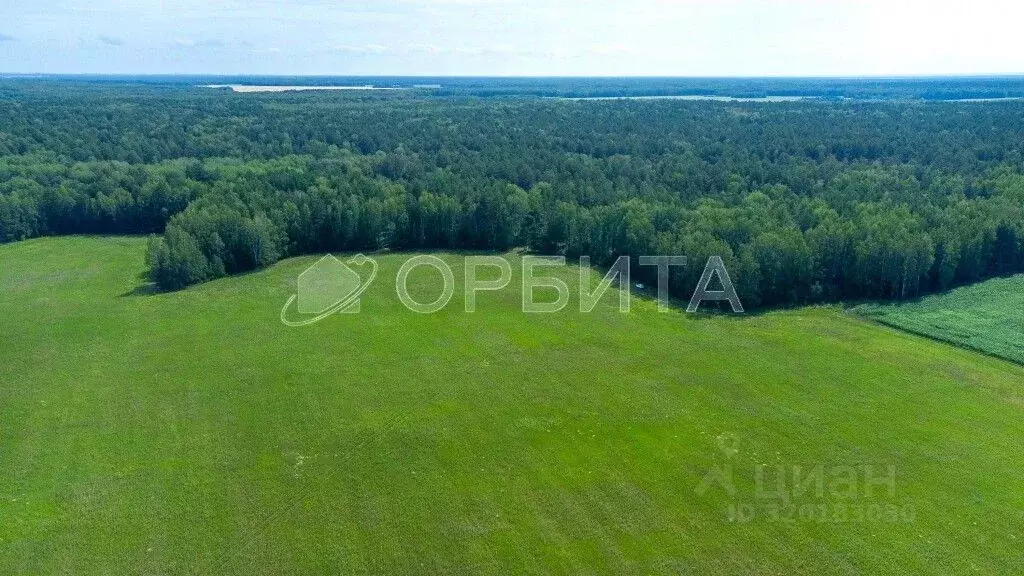 Участок в Тюменская область, Тюменский район, с. Кулига  (6.0 сот.) - Фото 0