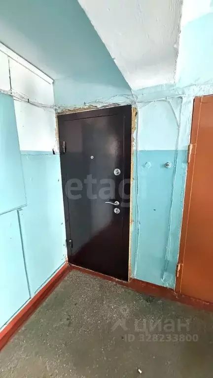 2-к кв. Амурская область, Белогорск ул. Серышева, 6 (38.4 м) - Фото 2