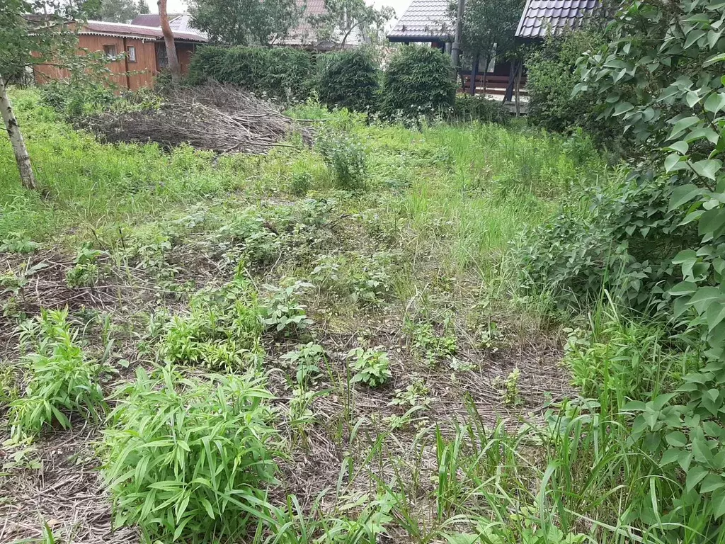 Участок 6 сот. (СНТ, ДНП) - Фото 0
