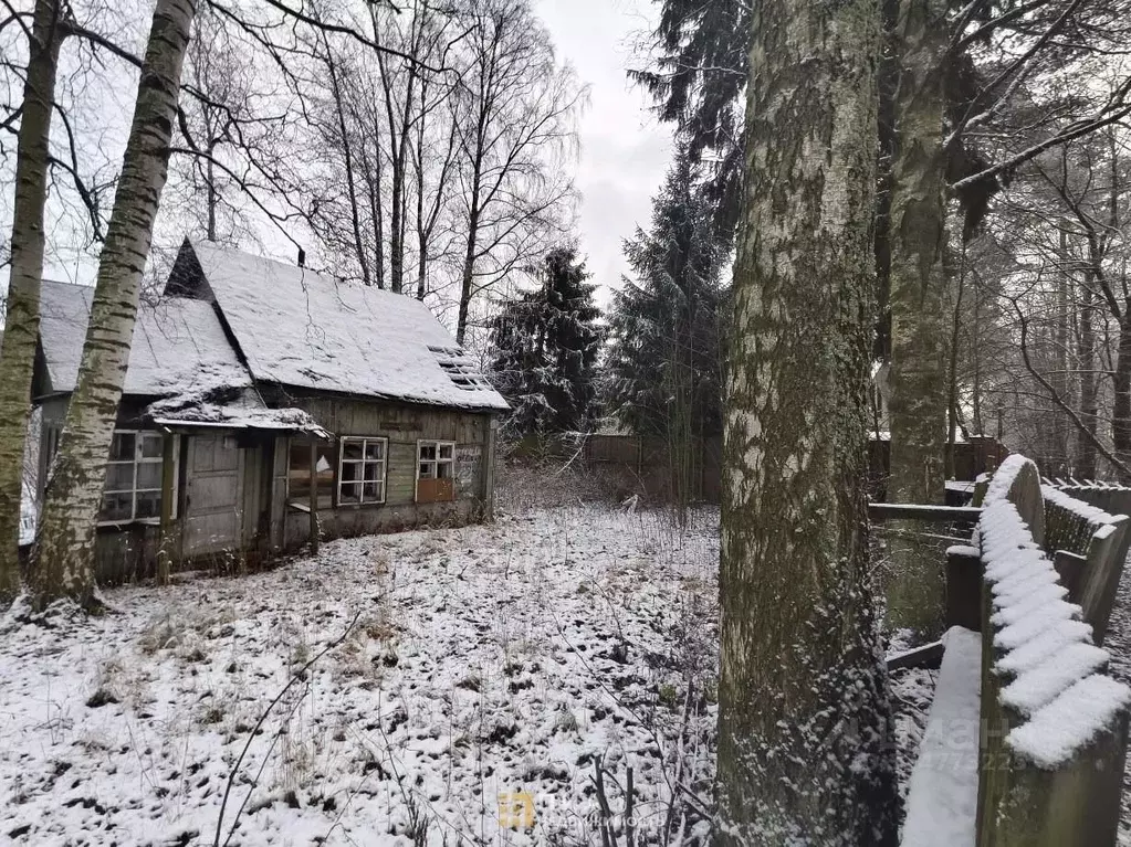 Участок в Санкт-Петербург пос. Лисий Нос, Холмистая ул., 49 (10.0 ... - Фото 2