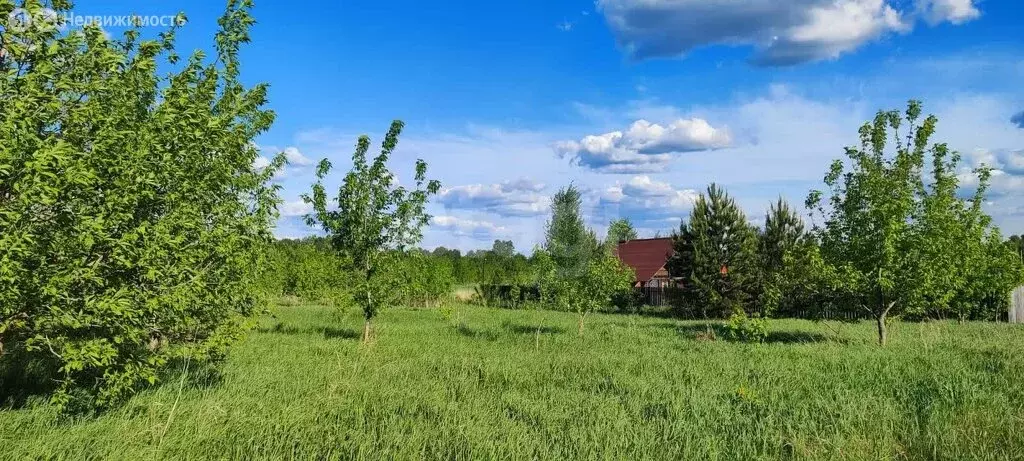 Участок в Первомайский район, посёлок Новый, Берёзовская улица (12 м) - Фото 2