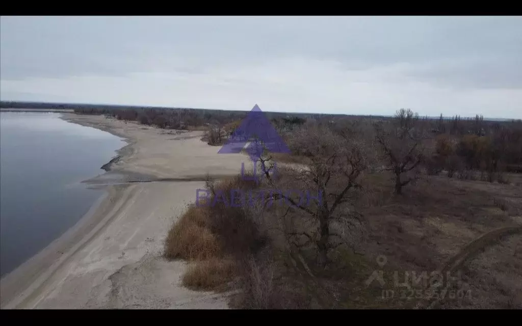 Участок в Ростовская область, Волгодонской район, Романовская ст-ца ... - Фото 1