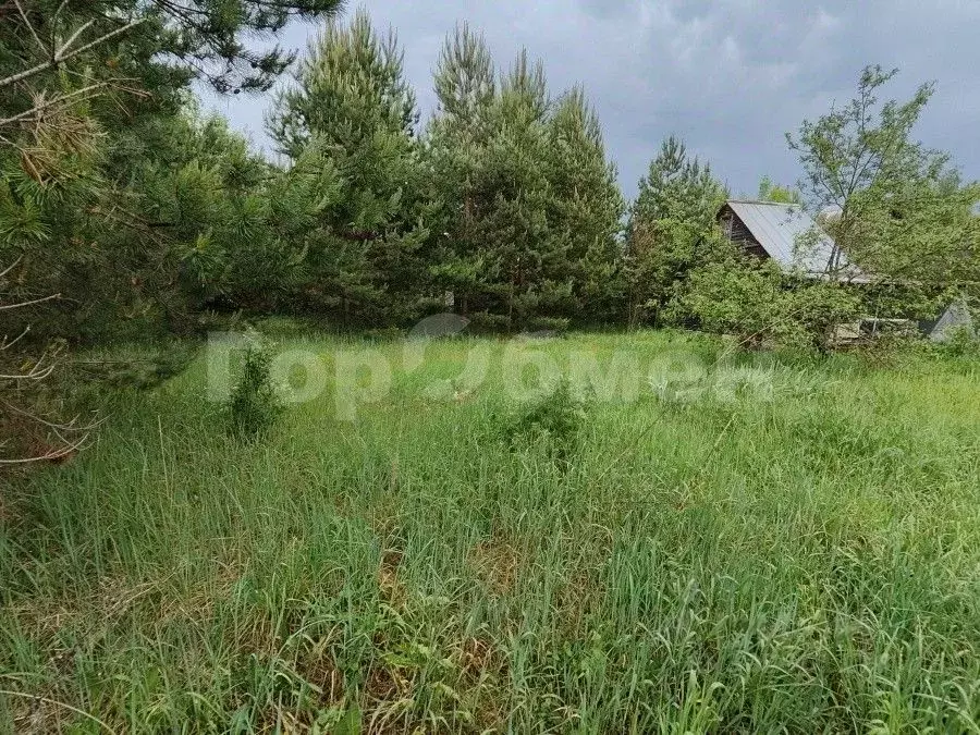 Участок в Московская область, Раменский городской округ, Кратово дп ... - Фото 0