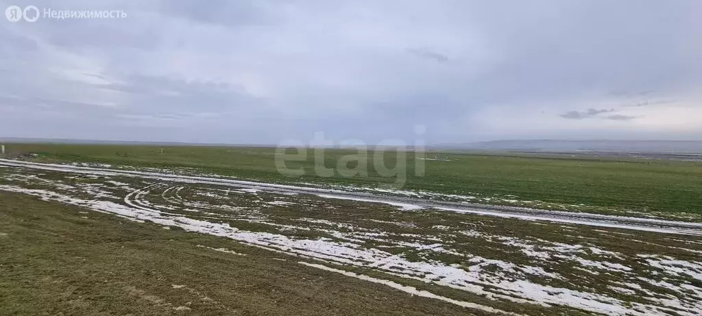 Участок в Владиславовка, Виноградная улица (303.12 м) - Фото 2