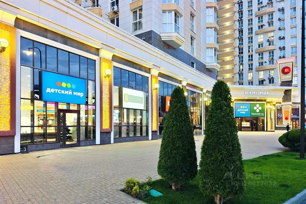 2-к кв. Краснодарский край, Краснодар Красная ул., 176лит5/1 (65.0 м) - Фото 2