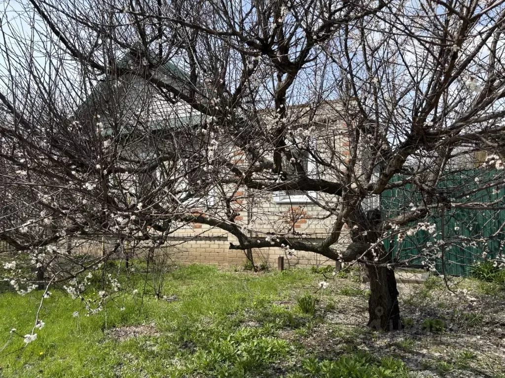 Дом в Волгоградская область, Краснослободск Среднеахтубинский район, ... - Фото 2