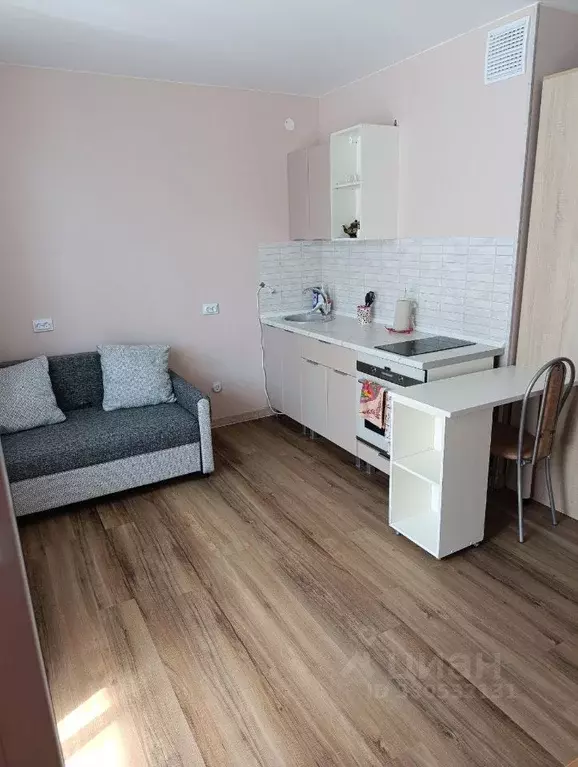 Студия Пермский край, д. Кондратово ул. Артемьевская, 6 (24.0 м) - Фото 2