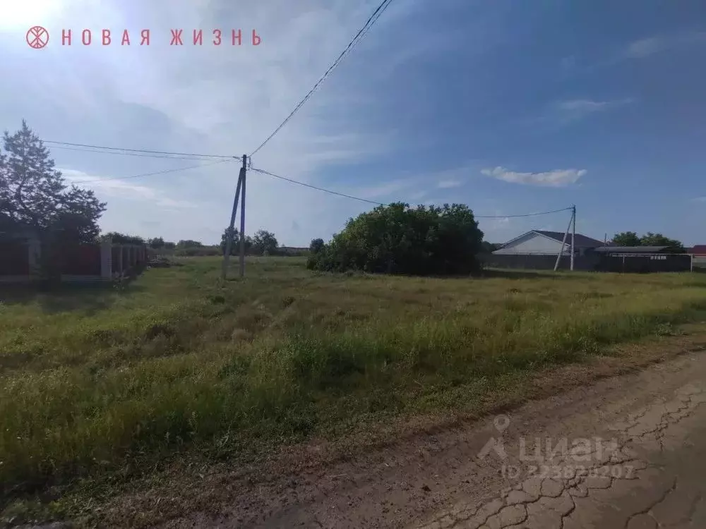 Участок в Самарская область, Красный Яр с/пос, пос. Кочкари ул. ... - Фото 1