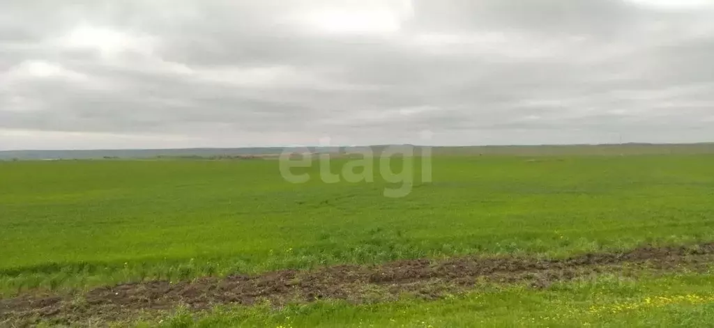 Участок в Крым, Ленинский район, Батальненское с/пос, с. Южное ул. ... - Фото 1