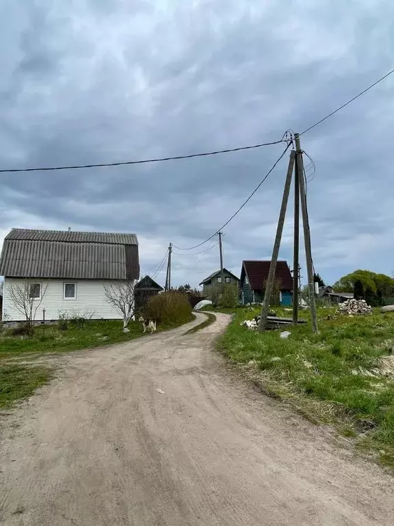 Участок в Ленинградская область, Приозерский район, Плодовское с/пос, ... - Фото 1