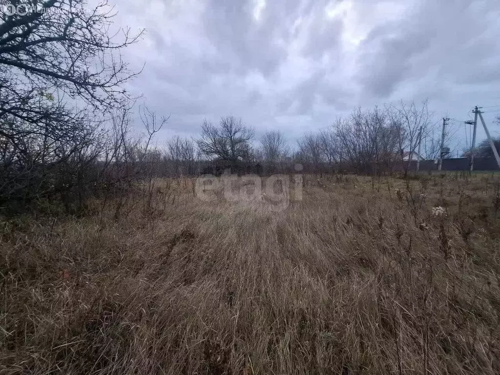 Участок в Новоусманский район, посёлок Отрадное (8.5 м) - Фото 1