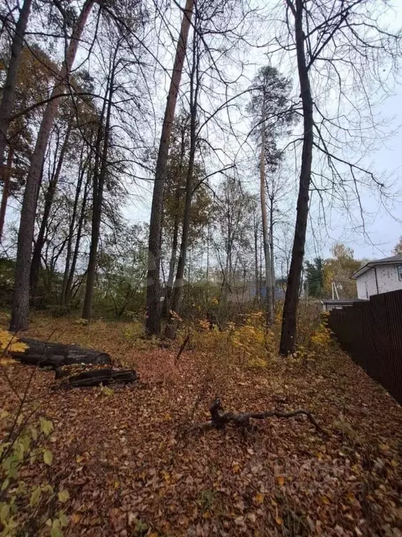 Участок в Московская область, Дмитровский городской округ, Деденево рп ... - Фото 0