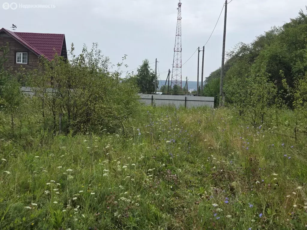 Участок в Свердловская область, Белоярский муниципальный округ, село ... - Фото 0
