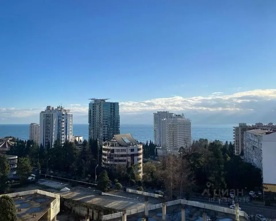 1-к кв. Краснодарский край, Сочи Светлана мкр, ул. Депутатская, 10 ... - Фото 2