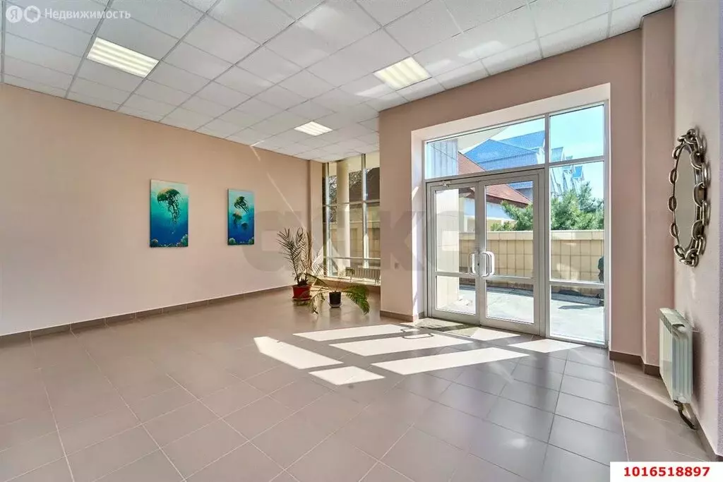 3-комнатная квартира: село Ольгинка, Приморская улица, 49 (262.8 м) - Фото 1