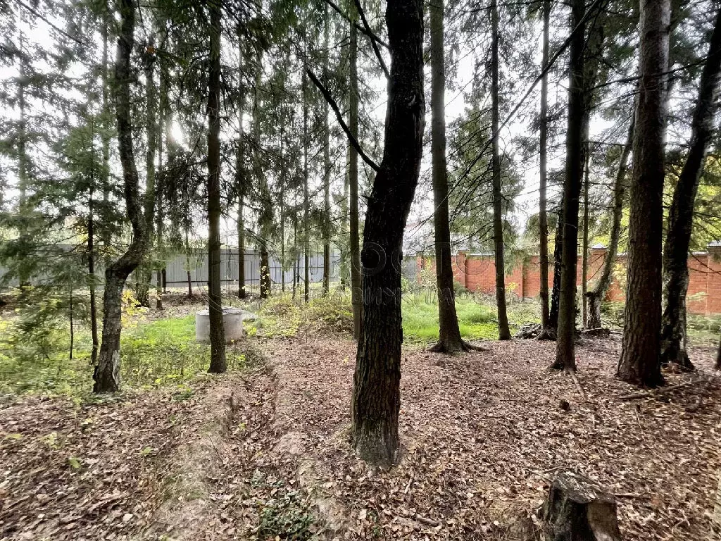 Продается участок в пгт Сабурово - Фото 1