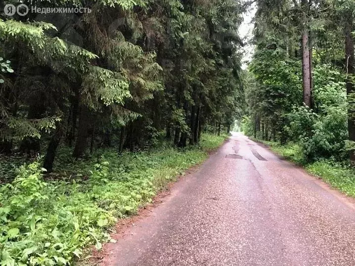 Участок в Одинцовский городской округ, деревня Чигасово (15 м) - Фото 0