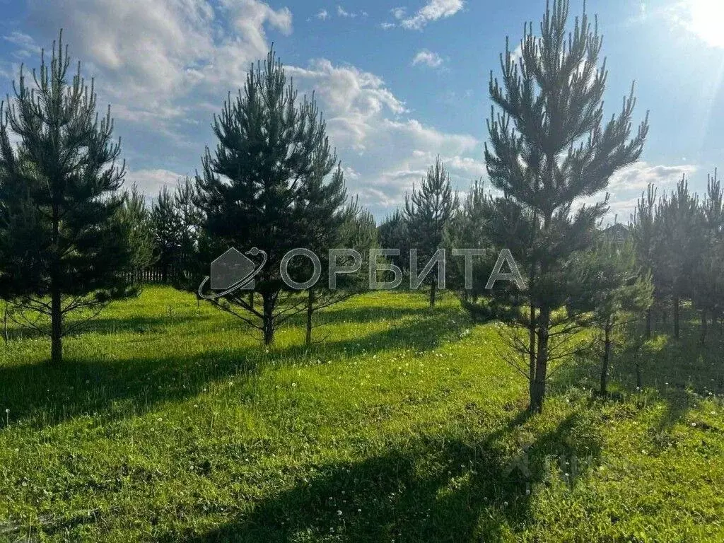 Участок, 12 сот., поселения (ижс) - Фото 0