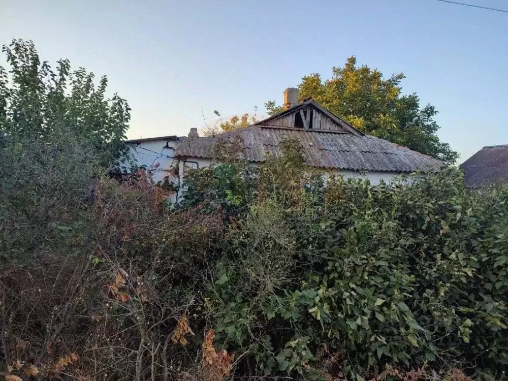 Дом в Крым, Сакский район, с. Митяево ул. Новая (54 м) - Фото 1