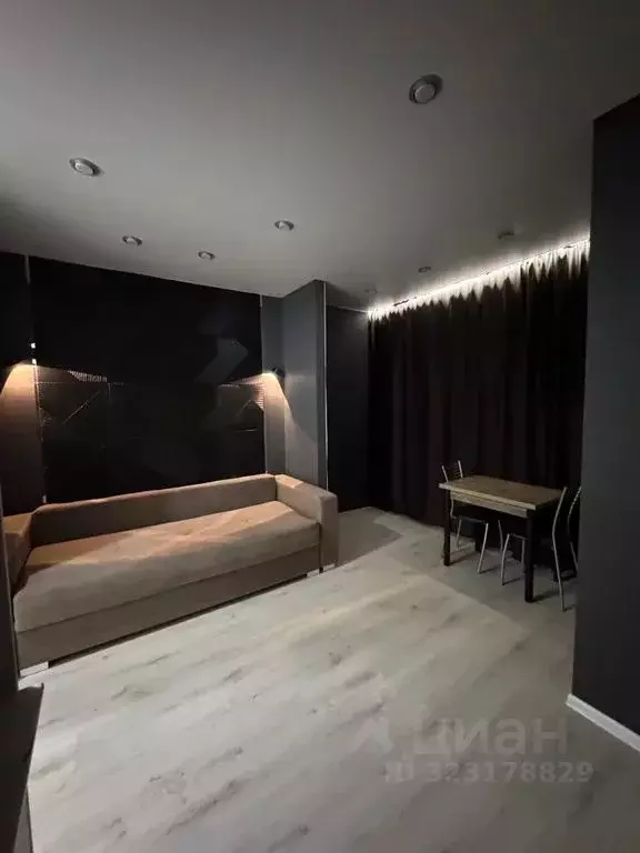 Студия Тюменская область, Ялуторовск ул. Свободы, 236 (26.0 м) - Фото 2