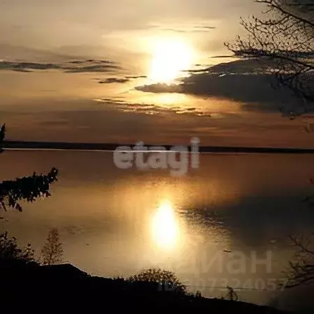 Участок в Костромская область, Красносельский район, Сидоровское ... - Фото 1