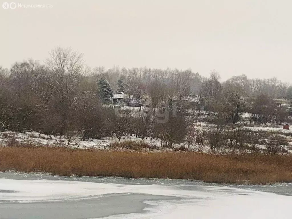 Участок в Тульская область, городской округ Новомосковск, село ... - Фото 0