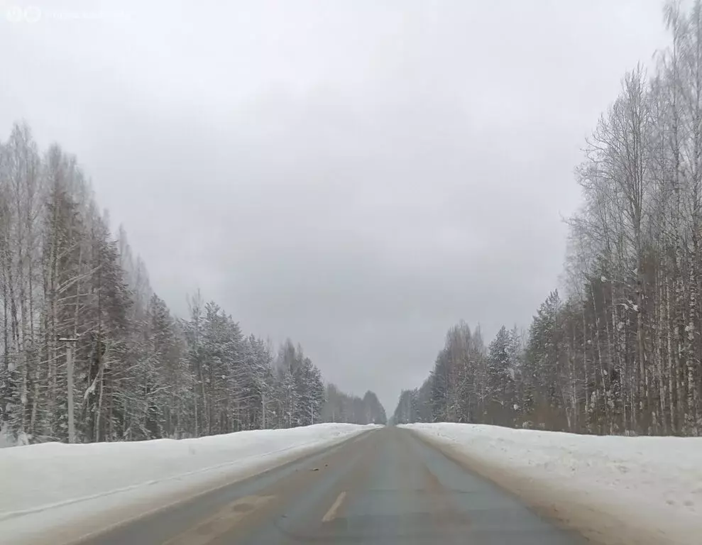 2-комнатная квартира: посёлок Сосновый Бор, 1 (51.4 м) - Фото 2