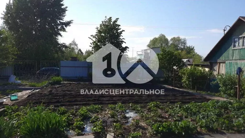 Участок в Новосибирская область, Новосибирск Садоводческого ... - Фото 1