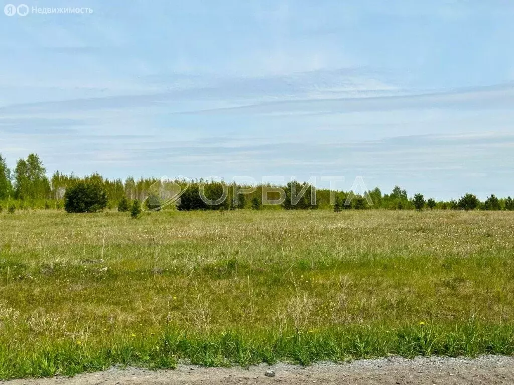 Участок в Курганская область, Шадринский муниципальный округ (58720 м) - Фото 0