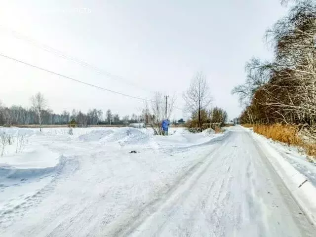 Участок в Тюмень, садовое товарищество Поле Чудес, Розовый переулок ... - Фото 2