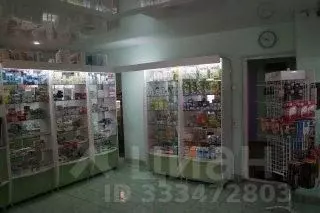 Помещение свободного назначения в Иркутская область, Иркутск ул. ... - Фото 2