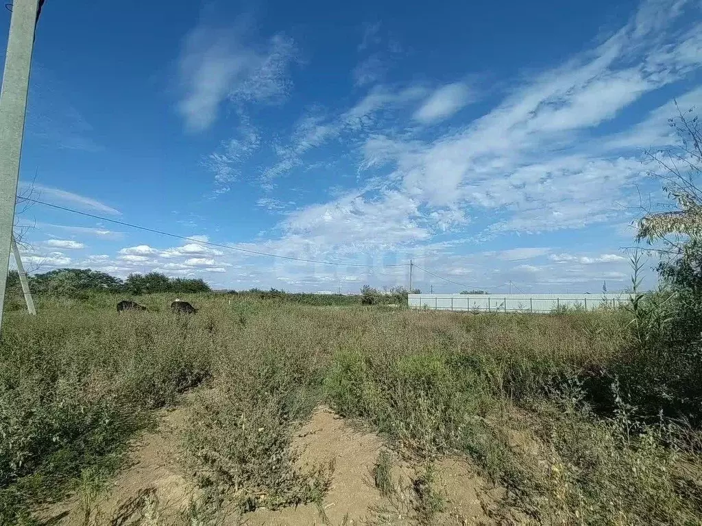 Участок в Ростовская область, Ростов-на-Дону Донстрой СНТ, ул. 9-я ... - Фото 1