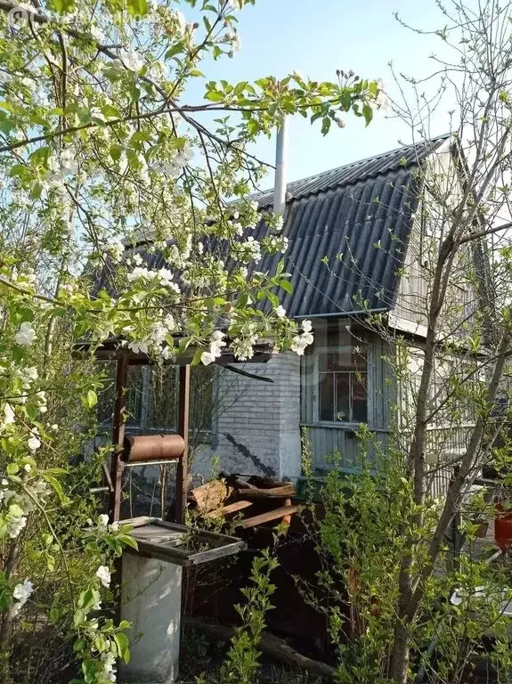 Дом в Курган, СНТ Строитель-3 (24 м) - Фото 2