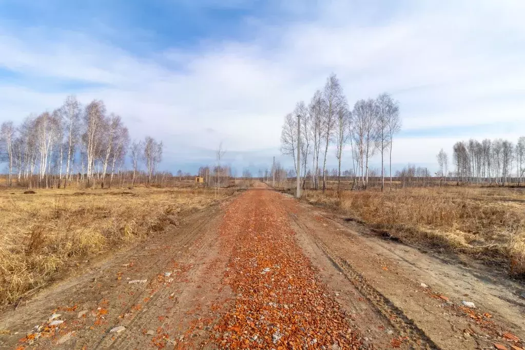 Участок в Тюменская область, Нижнетавдинский район, Тюневское с/пос, 7 ... - Фото 1