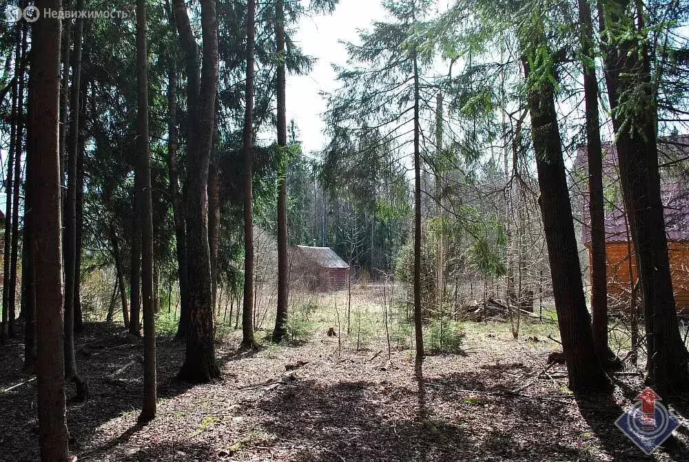Участок в Наро-Фоминский городской округ, садовое товарищество ... - Фото 1
