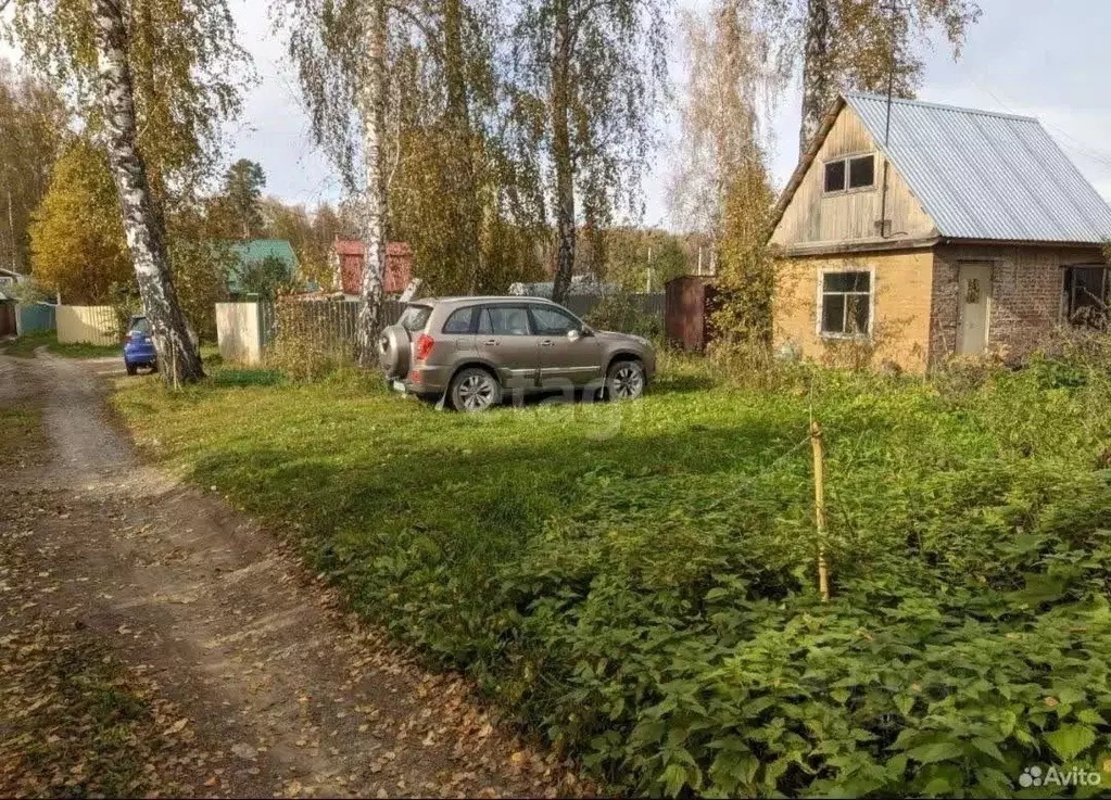 Участок в Новосибирская область, Новосибирский район, Барышевский ... - Фото 1