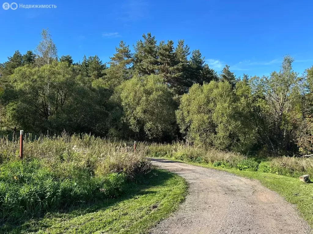 Участок в Владимирская область, Александровский муниципальный округ, ... - Фото 1