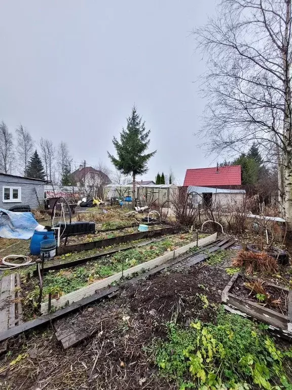 Дом в Санкт-Петербург, Санкт-Петербург, Сестрорецк Разлив СНТ, проезд ... - Фото 2